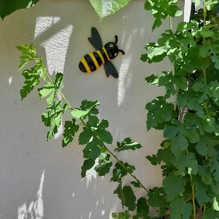 Maja Garden * Задар